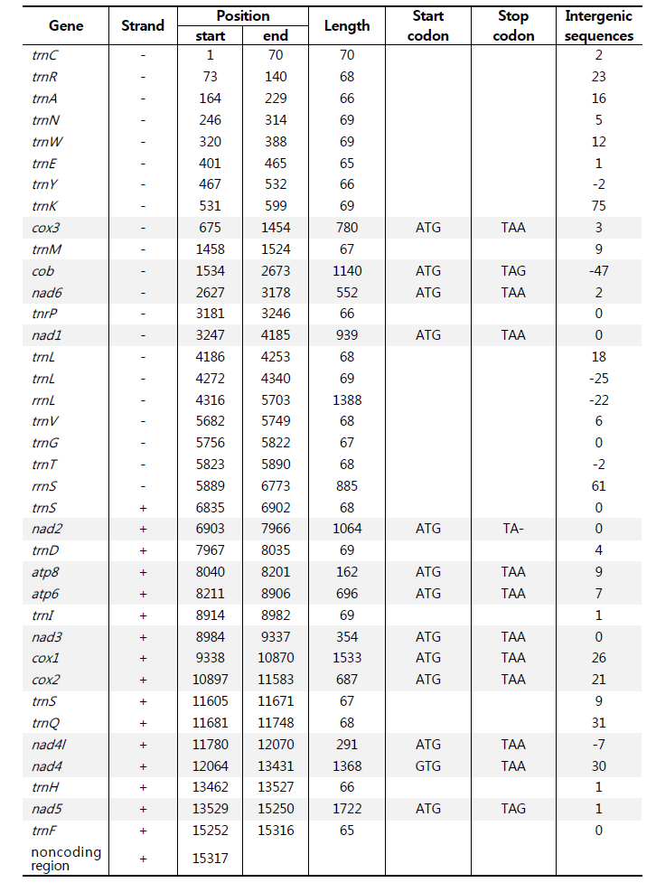 염주알다슬기(Koreanomelania nodifila)의 전체 미토콘드리아 유전체 구성