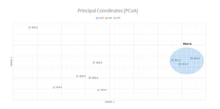 밤수지맨드라미 개체별 주성분 분석(PCoA)