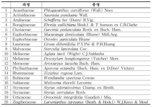 미얀마 카친 지역 유용식물자원 제출 목록