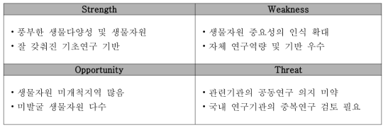 러시아 SWOT 분석