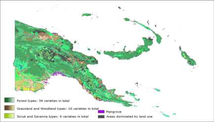 파푸아뉴기니의 Vegetation Types