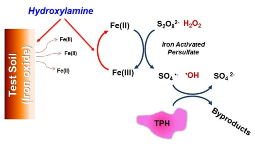 하이드록실아민, 토양 그리고 이과황산염의 반응 메커니즘