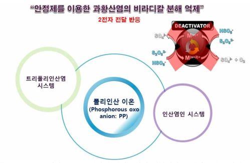 본 연구에서 새롭게 개발된 과황산염의 비라디칼 분해억제제(안정제) 목록