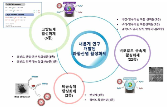 본 연구에서 새롭게 개발된 과황산염 활성화제 목록