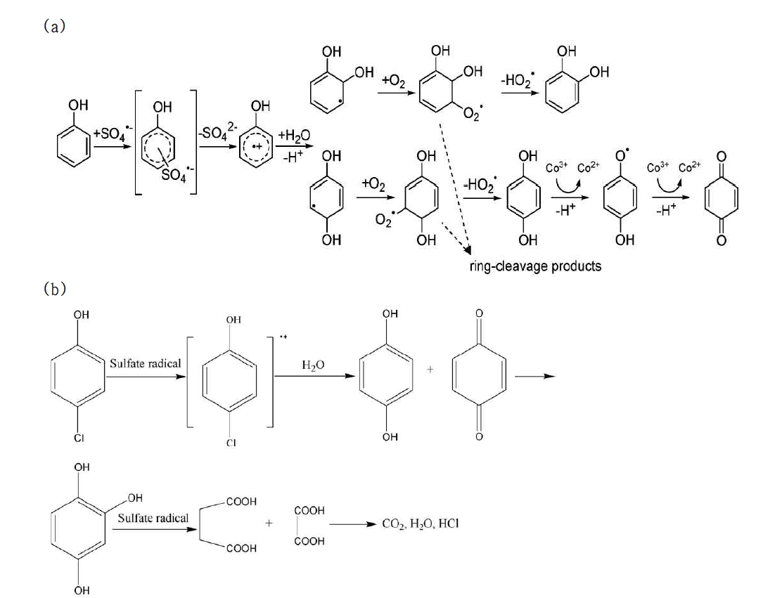 과황산염 라디칼에 의한 페놀류의 산화분해 경로 및 분해산물:Ref: a) Anipsitakis, G., Dionysiou, D., and Gonzalez, M., 2006, Cobalt-Mediated Activation of Peroxymonosulfate and Sulfate Radical Attack on Phenolic Compounds. Implications of Chloride Ions, Environ. Sci. Technol. 40, 1000-1007. b) Zhao, J., Zhang, Y., Chen, S., 2010, Enhanced oxidation of 4-chlorophenol using sulfate radicals generated from zero-valent iron and peroxydisulfate at ambient temperature, Sep. and Purif. Technol., 71, 302–307