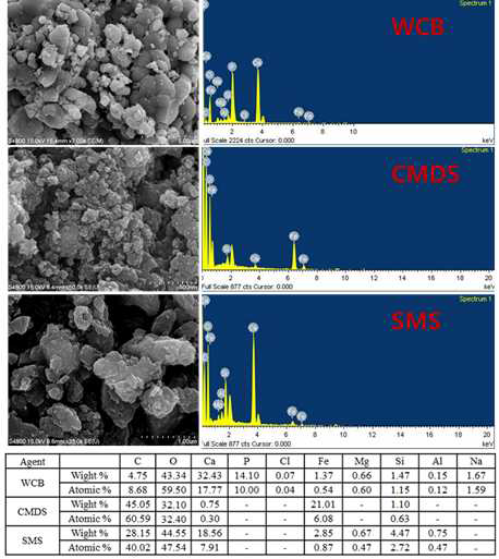 SEM/EDS of WCB, CMDS and SMS