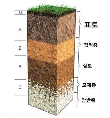 토양의 토층분화