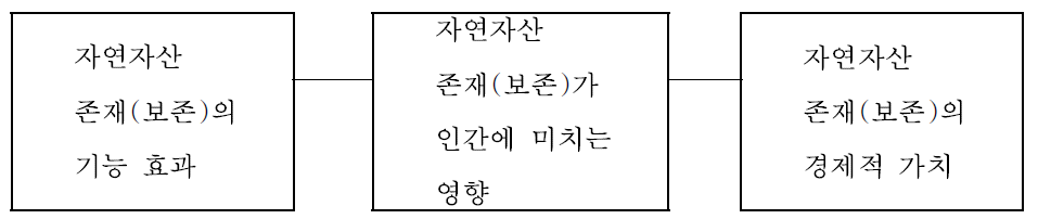 자연자산 존재(보존)에 따른 가치발생 과정