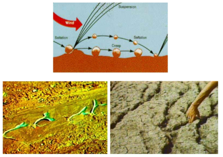 바람에 의한 토양입자 비산(위)과 강우로 인한 토양의 면상침식(왼 아래), 세류침식(오른 아래)(한국지반환경공학회, 2001)