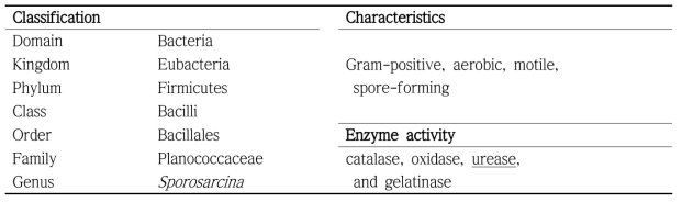 Sporosarcina koreensis의 특징(Kwon et al., 2007)