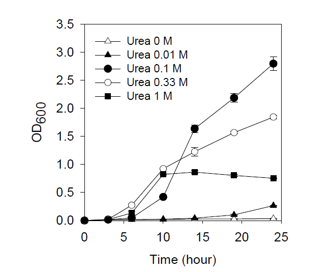 각각 농도의 요소 배지에서 배양한 Sporosarcina pasteurii의 생장수준(OD600)