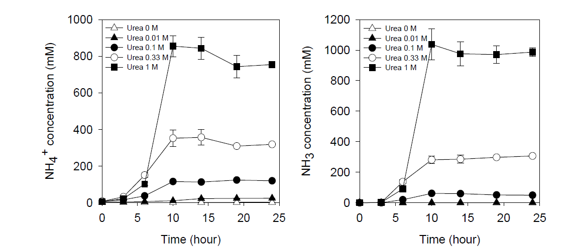 배양시간별 NH4+ 및 NH3 농도(A: NH4+, B: NH3)