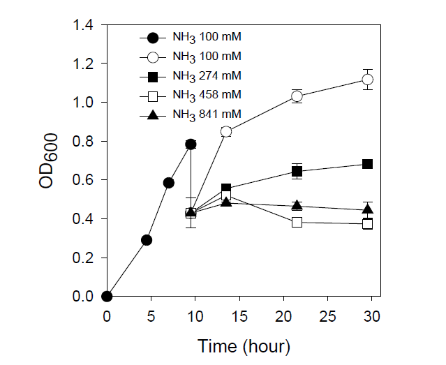 NH3 농도 증가 및 Sporosarcina pasteurii의 생장 영향