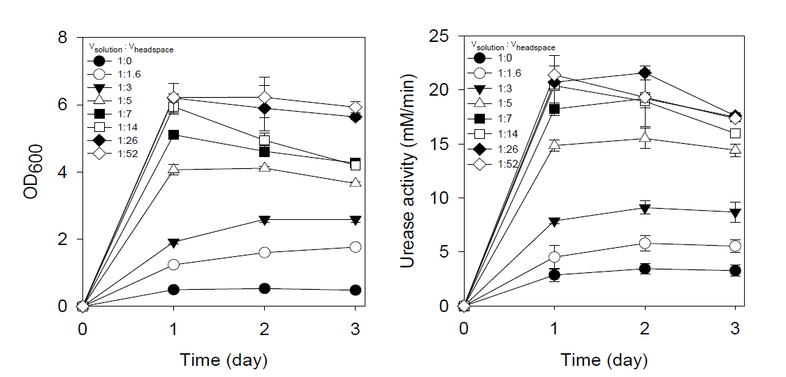 Headspace별 배양시간에 따른 OD 및 요소 가수분해율