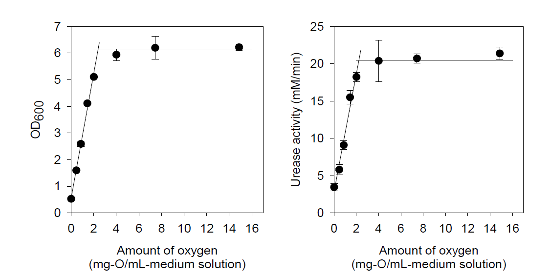 사용가능 산소양에 따른 최대 배양 시의 OD 및 요소 가수분해율
