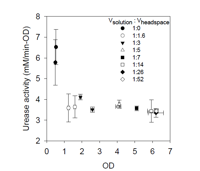 각각의 headspace 조건에서 OD에 따른 미생물 당 요소 가수분해율
