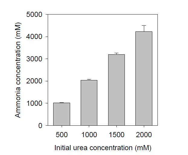 요소 농도별 Sporosarcina pasteurii의 요소 가수분해