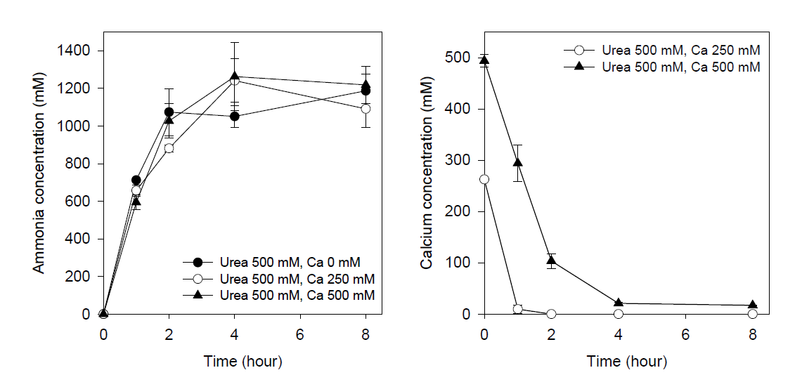 요소 500 mM조건에서 시간별 암모니아 및 칼슘 농도