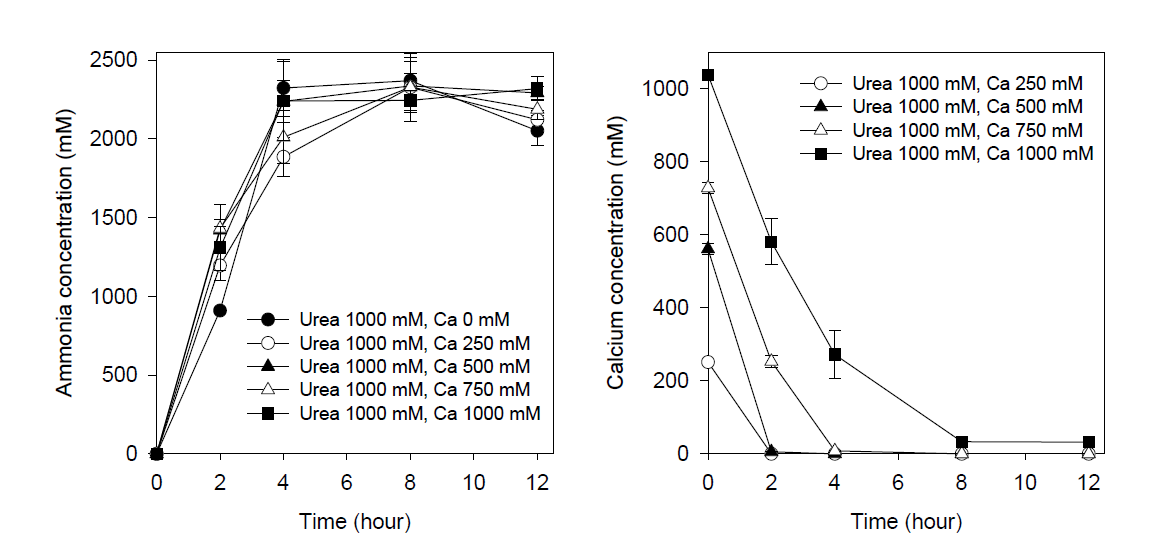 요소 1000 mM조건에서 시간별 암모니아 및 칼슘 농도