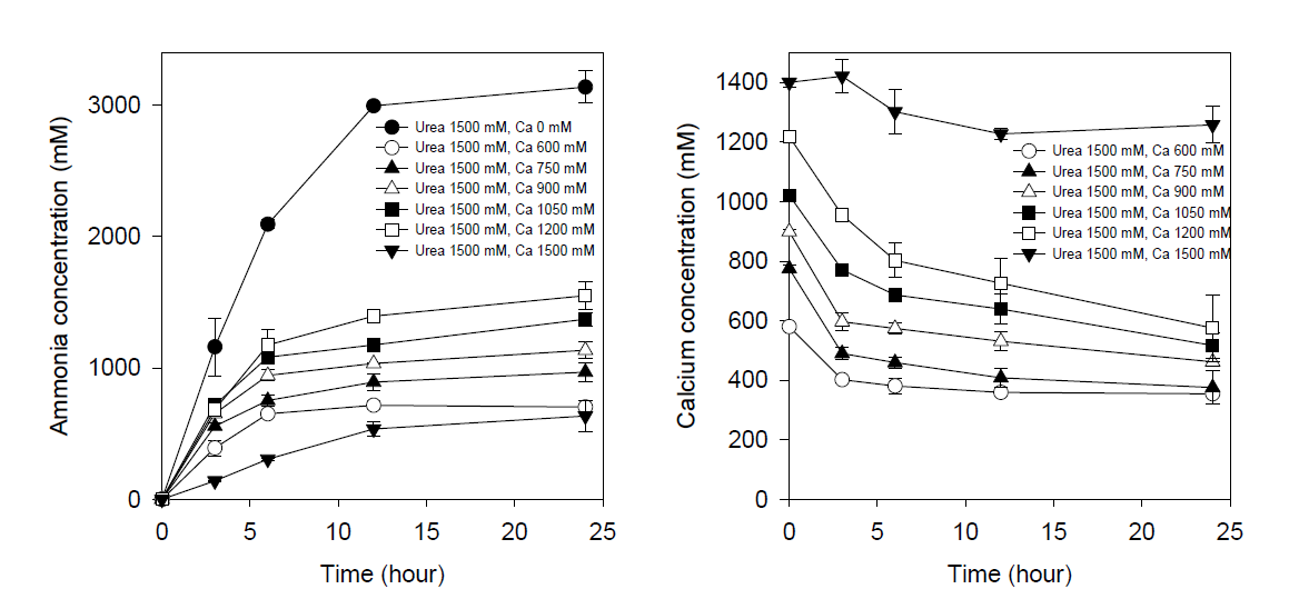 요소 1500 mM조건에서 시간별 암모니아 및 칼슘 농도