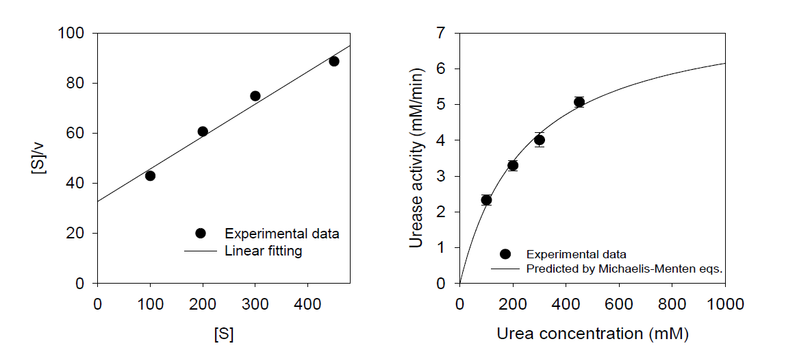 Michaelis-Menten 계수 결정과 예측 및 실험으로 도출한 요소 가수분해율 비교