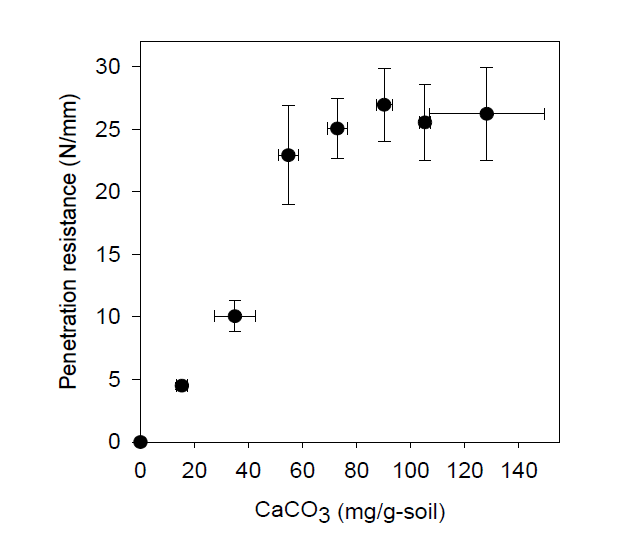모래에서 탄산칼슘 침전량 대비 관입저항