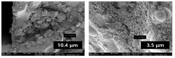 MICP-inducing solution 7회 주입한 토양에서 SEM을 통해 관찰한 탄산칼슘 결정 크기(왼쪽: 유기물함량 0%, 오른쪽: 유기물함량 5%)