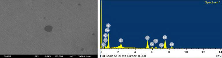 Inconel 625의 SEM사진과 EDX 성분 분석