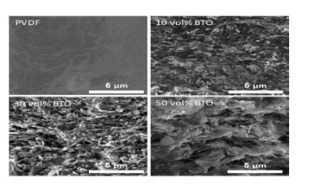 BaTiO3-PVDF 복합체 필름의 단면 SEM