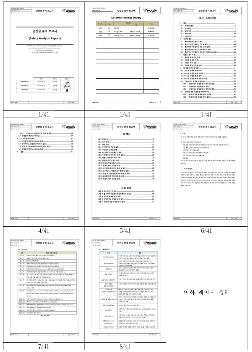 안전성 분석 보고서