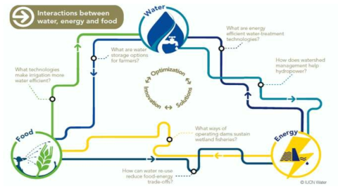 Water-Energy-Food Nexus