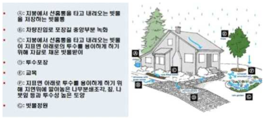 미국 시애틀시의 RainWise 프로그램