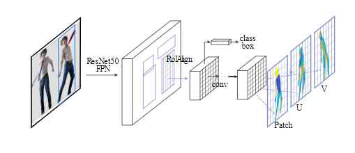 DensePose-RCNN architecture