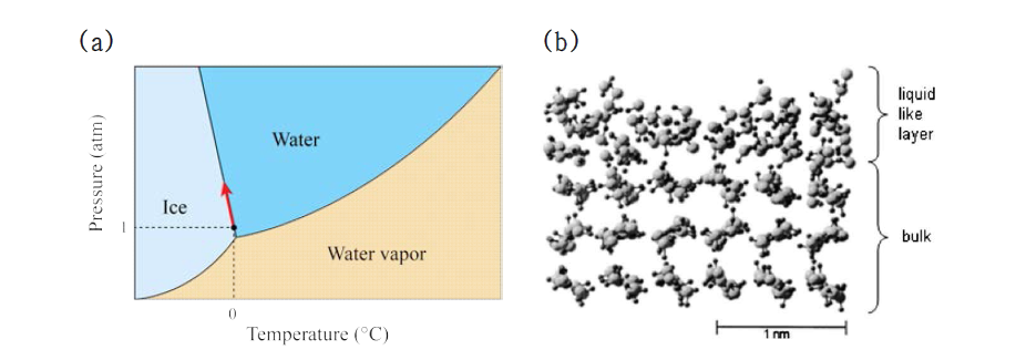 (a) 물의 상평형도로 해석한 pressure melting, (b) liquid-like layer 개념도(Kietzig, 2010)