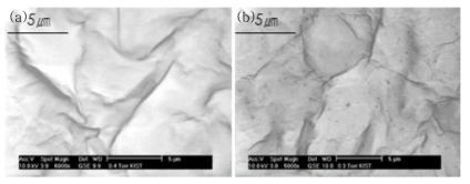 (a) 상용 왁스의 ESEM 사진 (b) BaTiO3 나노입자 첨가 왁스의 ESEM 사진