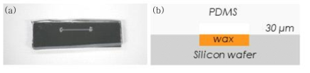 (a) 한 면이 왁스로 코팅된 마이크로채널 (b) 마이크로채널의 개념
