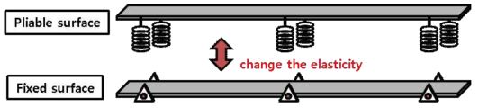 Pliable surface Vs. Fixed surface (6 스프링이 있는 탄성 바닥면 Vs. 고정된 바닥면)