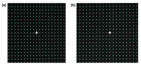 SPIV 시스템의 calibration (a) left CCD camera; (b) right CCD camera