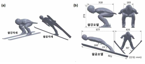 (a) 활강, 활공 자세에 따른 3차원 모델링; (b) 활강, 활공 모델의 상세 스펙