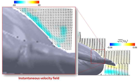 ReH = 450,000 일 때 순간속도 벡터와 vorticity contours