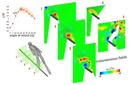 ReL = 1,066,666 일 때 순간속도 벡터와 vorticity contours