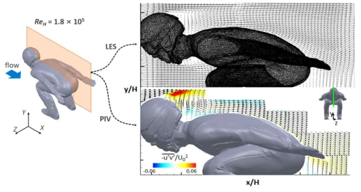 활강자세 xy 평면의 LES/PIV 유동장 비교