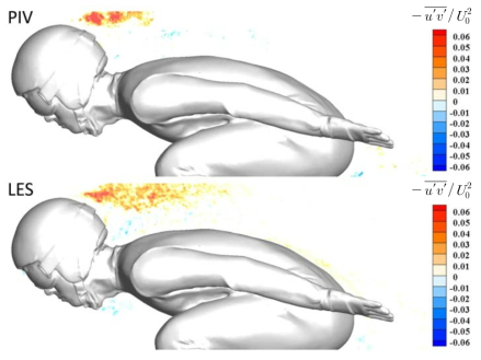 활강 자세 xy 평면의 LES/PIV 유동장 비교