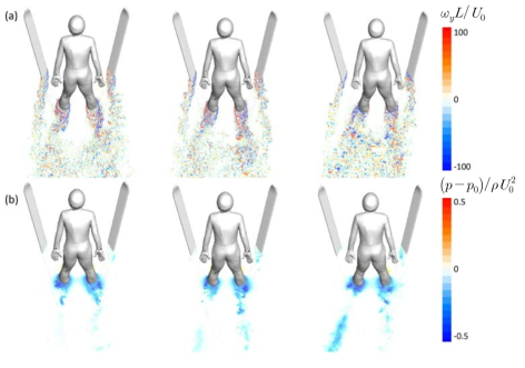측면 바람을 고려한 활공 시 xz 평면(y = -0.05L)에서의 순간 유동장 (a) ωy; (b) p