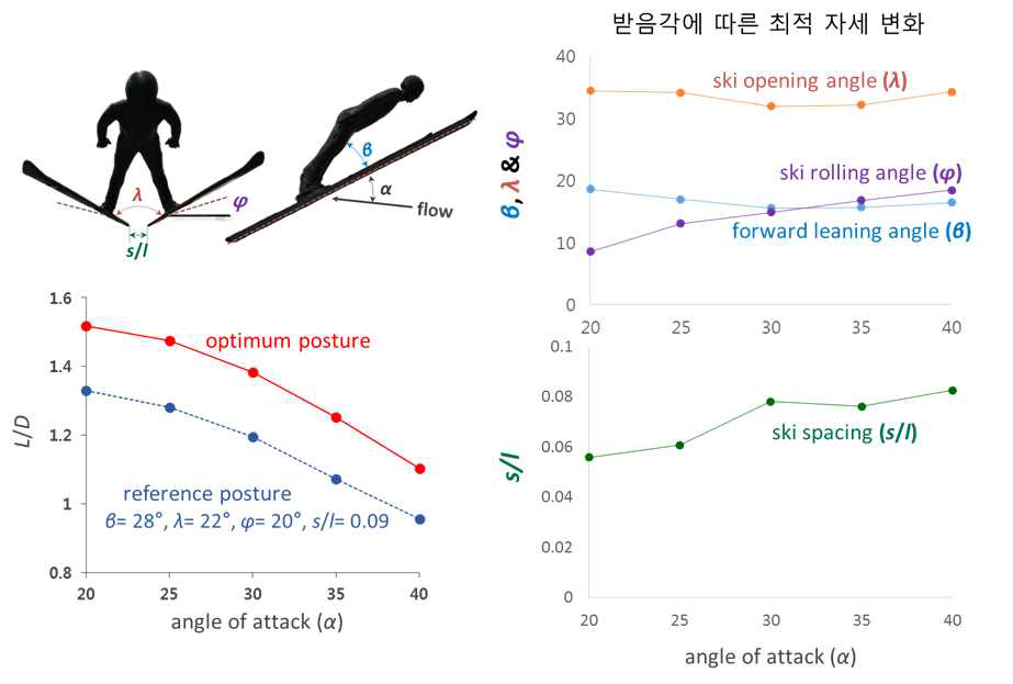 선수 A 신체치수에 따른 받음각별 최적자세 및 공력성능 변화