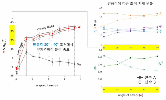 선수 A, 선수 B의 활공 비거리 최대화를 위해 개선된 활공자세