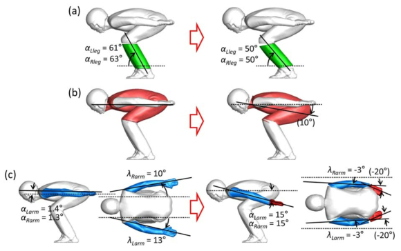 선수 B의 활강 자세 변화: (a) 자세 변화 1(종아리); (b) 자세 변화 2(몸통과 허벅지); (c) 자세 변화 3(팔)