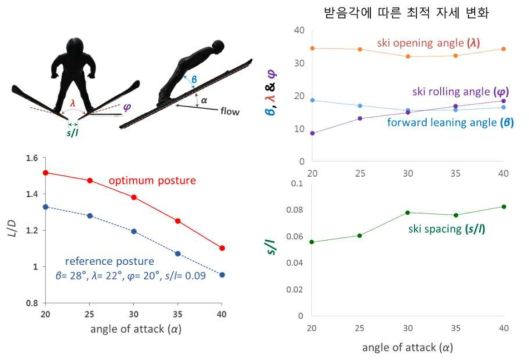 스키점프 국가대표 선수 B의 최적 활공 자세 (3차년도 결과)