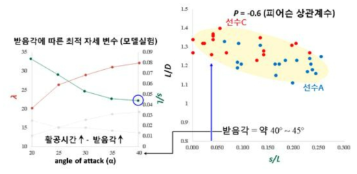 활공 자세 시 s/L 변화에 따른 양항비 분포