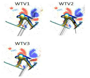 Wing tip vortex의 주요 구성요소 : 손에서 발생하는 WTV1; 허벅지 바깥쪽에서 발생하는 WTV2; 허벅지 안쪽에서 발생하는 WTV3